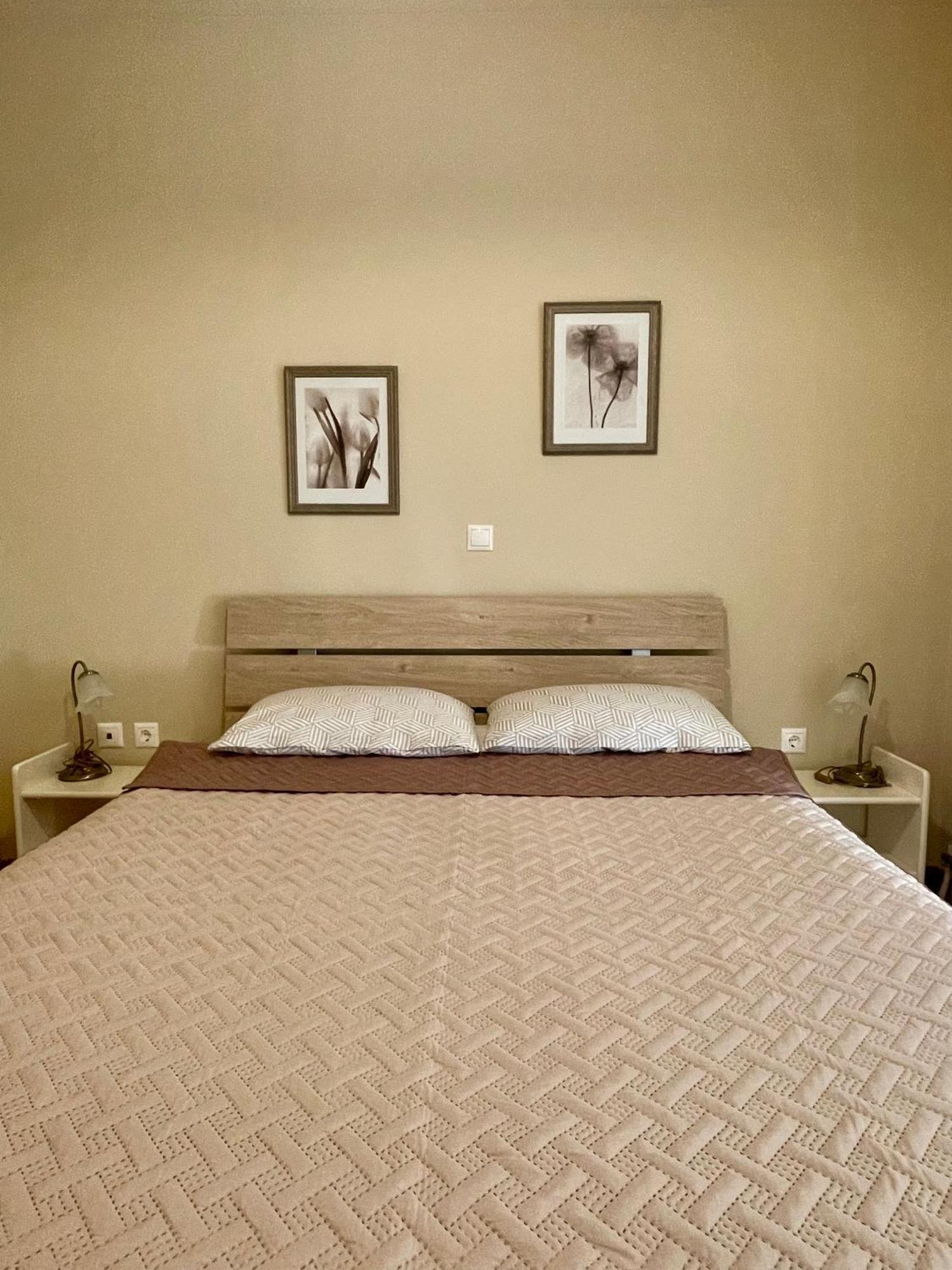 Camelia Apartment Návplio Kültér fotó